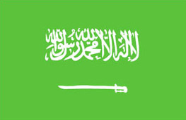 沙特商務簽證